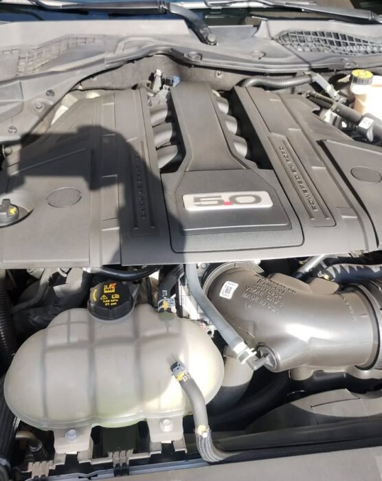 motor 5.0 motor 5.0
